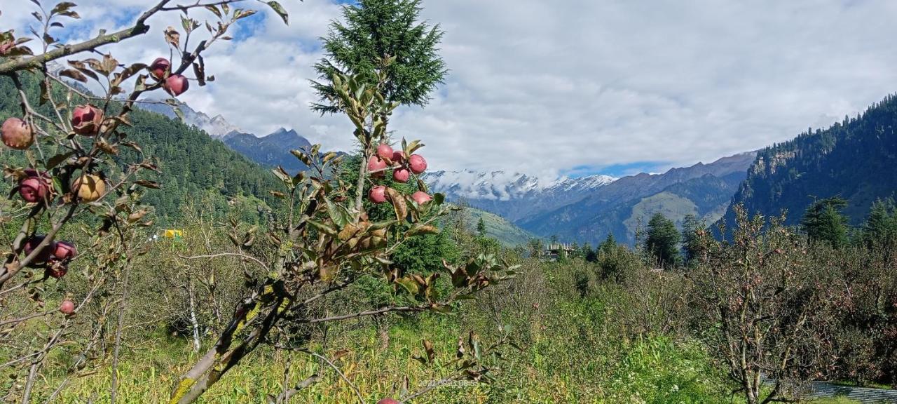 Apple Flower With Balcony And Mountain View Manāli Eksteriør bilde