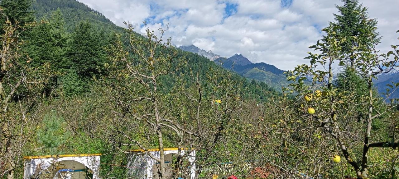 Apple Flower With Balcony And Mountain View Manāli Eksteriør bilde